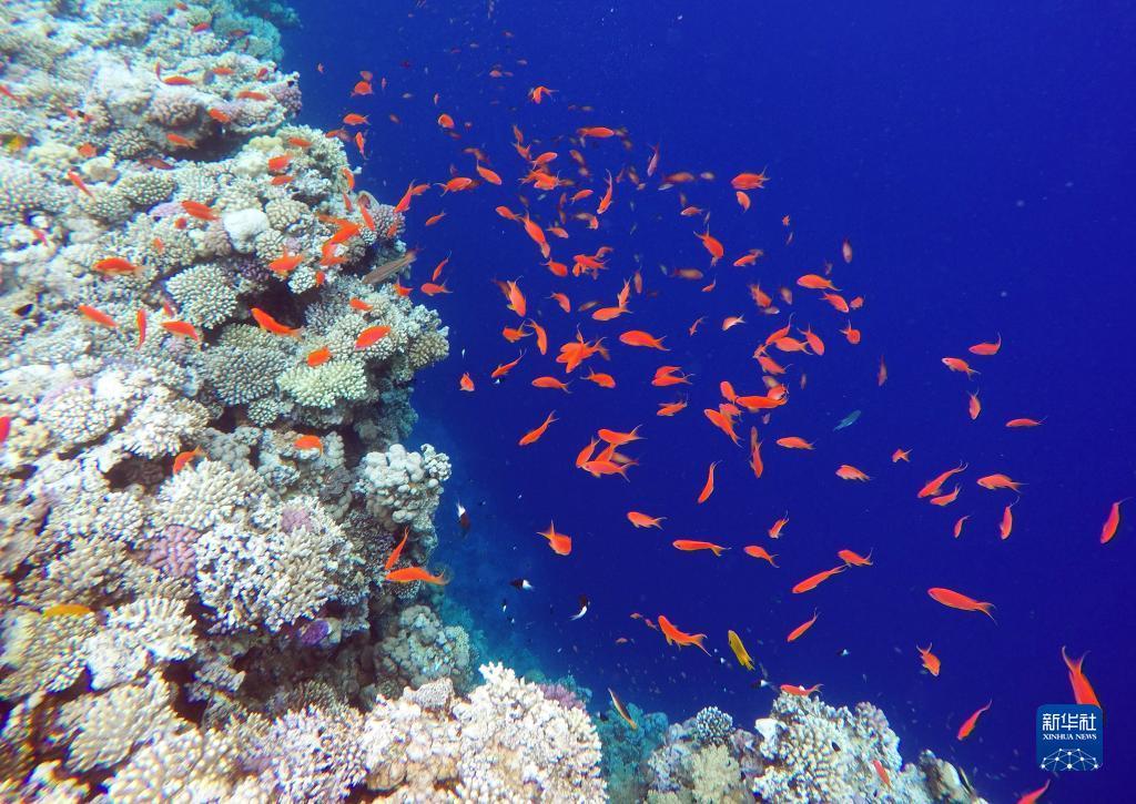 上海市金沙